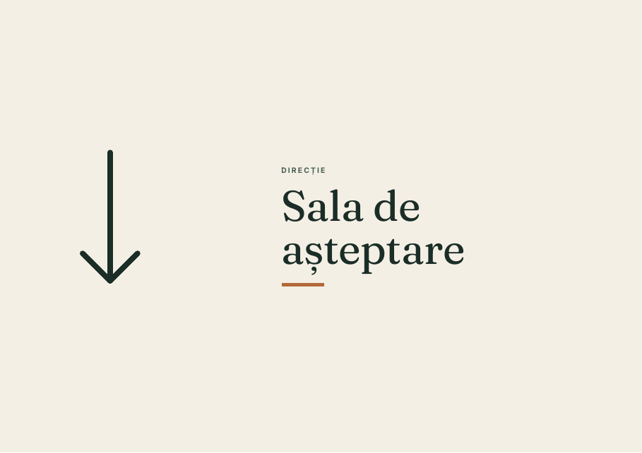 Wayfinding Asteptare Down